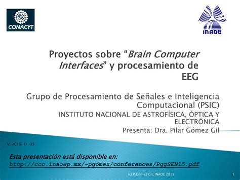 Pdf Instituto Nacional De Astrof Sica Ptica Y Ccc Inaoep Mx