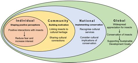 Insects | Free Full-Text | Insect Cultural Services: How Insects Have ...