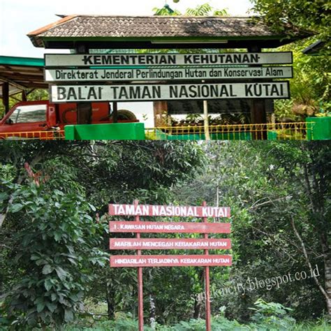 Taman Nasional Kutai Tnk Sangkay City