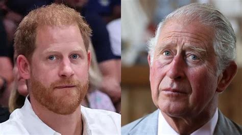 Prince Harry Accused Of Nagging King Charles Over Titles Money