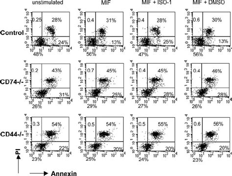 Mif Induces In Vitro B Cell Survival In A Cd74 And Cd44 Dependent