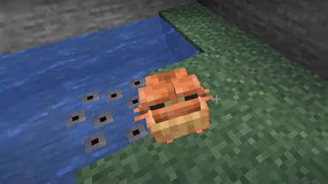 How Long Does It Take For Frog Eggs To Hatch In Minecraft Gamer Journalist