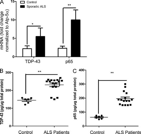 Analysis Of Tdp 43 And Nf κb P65 Mrna Expression In Sporadic Als Spinal Download Scientific