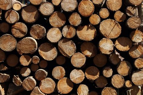 Holz Stämme Holzstapel Kostenloses Foto auf Pixabay Pixabay