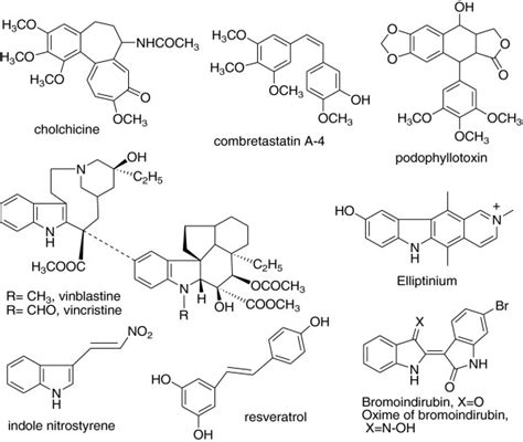 Some reported tubulin inhibitors. | Download Scientific Diagram