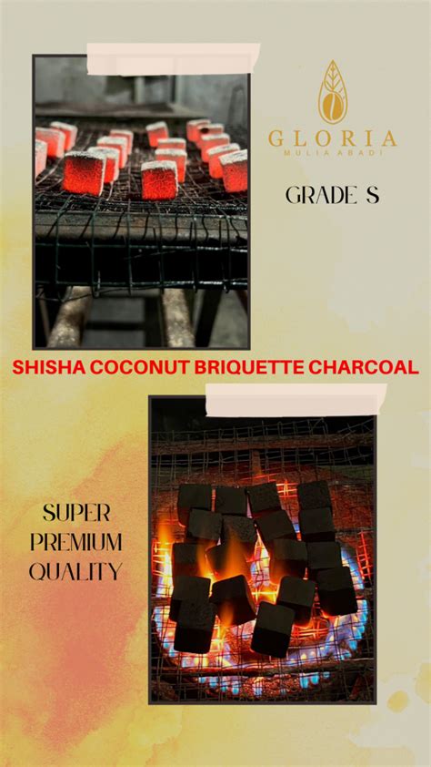 Indonesian Wood Charcoal And Coconut Briquette Charcoal For The Global