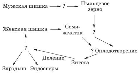 Марон Физика 8 Класс Дидактические Материалы Решебник - bakulev