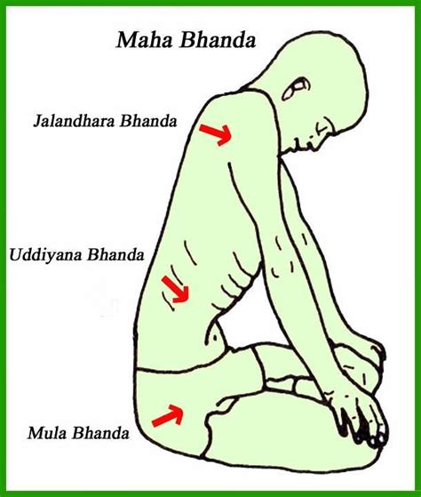 Mula Bandha In Sanskrit Mula Means Root So Mula Bandha Means Root Lock