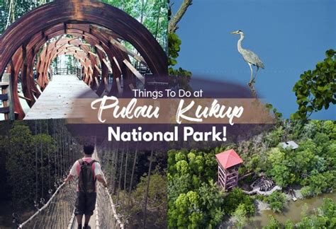 Explore And Have Fun At Pulau Kukup National Park Johor Now