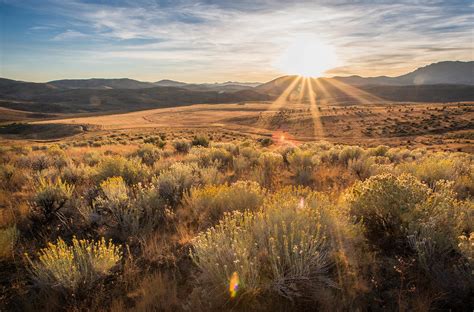 Autumn In High Desert Nevada Ranchland Summers Greens And Flickr