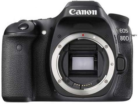 The Best Canon Camera For Beginners An Updated List Alc