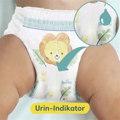 Pampers Premium Protection Pants Gr 7 17 Kg Monatsbox Online Kaufen