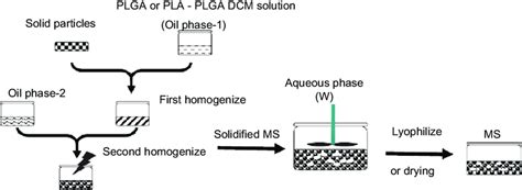 Schematic Diagram Showing Microsphere Preparation Abbreviations Plga Download Scientific