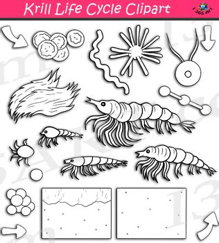 Krill Life Cycle Clipart by I 365 Art - Clipart 4 School | TPT