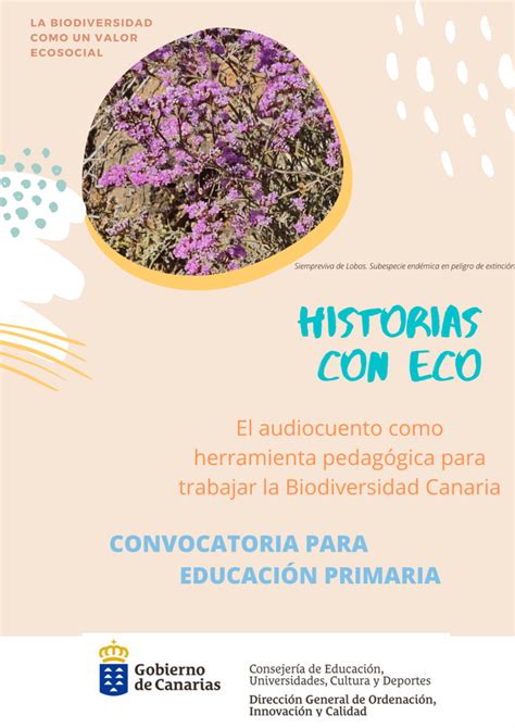 Historias Con ECO Curso 2022 2023 Procedimientos Para Los Centros