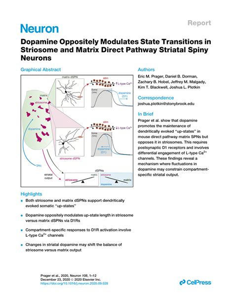 Pdf Dopamine Oppositely Modulates Synaptic Integration In Striosome