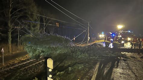 Baum stürzt auf Gleis bei Marxzell Straßenbahnverkehr unterbrochen