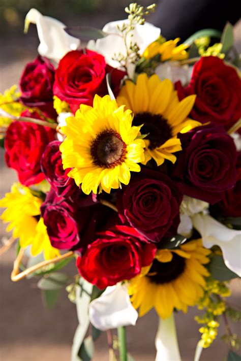 Sunflowers Dark Red Roses And Calla Lilies Red Roses And Sunflowers