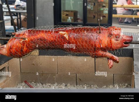 BBQ Hog on spit pig barbeque Stock Photo - Alamy