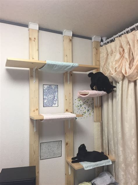 ディアウォールdiy Living With Cats Home And Living Diy Cat Shelves Cat Tree