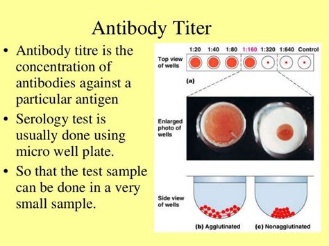 Antigen Ab Reactions