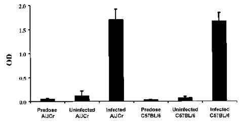 Serum IgG Concentrations To H Hepaticus In Experimental Groups Of