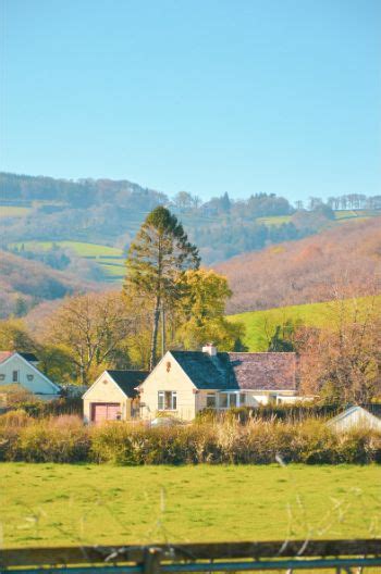 Top 8 Dartmoor Holiday Cottages for Nature Lovers - England Tip