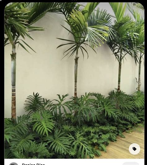 Tropical Backyard Landscaping Tropical Garden Design Backyard Inspo