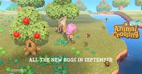 Animal Crossing New Horizons All The New Bugs In September