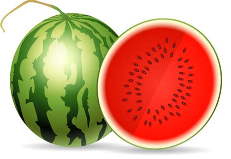 Royalty Free Half Watermelon Clip Art Vector Images And Illustrations