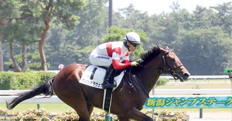 【2歳新馬・新潟5r】ダノンキラウェアが断然人気に応え快勝！全兄は昨年のnhkマイルc覇者ダノンスコーピオン サンスポzbat