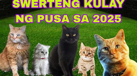 Swerteng Kulay Ng Pusa Sa Youtube