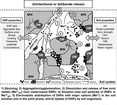 Figure 1 From Bioavailability Of Engineered Nanoparticles In Soil