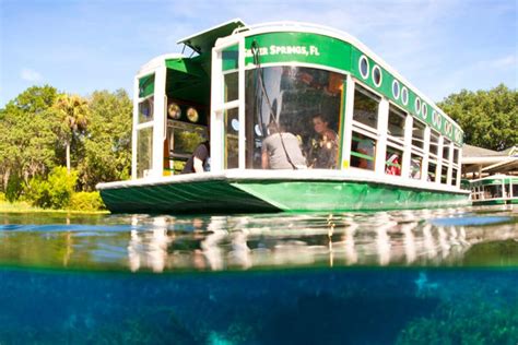 6 Best Glass Bottom Boat Tours in Florida • Authentic Florida