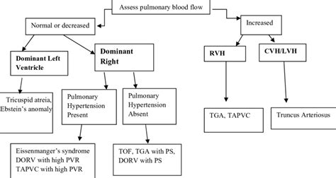 B Algorithm For Clinical Diagnosis Of Cyanotic Congenital Heart