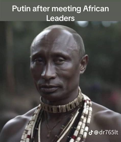 The peace initiative by Africa besides memes about Putin being a ...