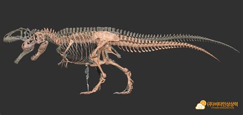 ArtStation - Giganotosaurus & Tyrannosaurus skeleton by. Vitamin ...