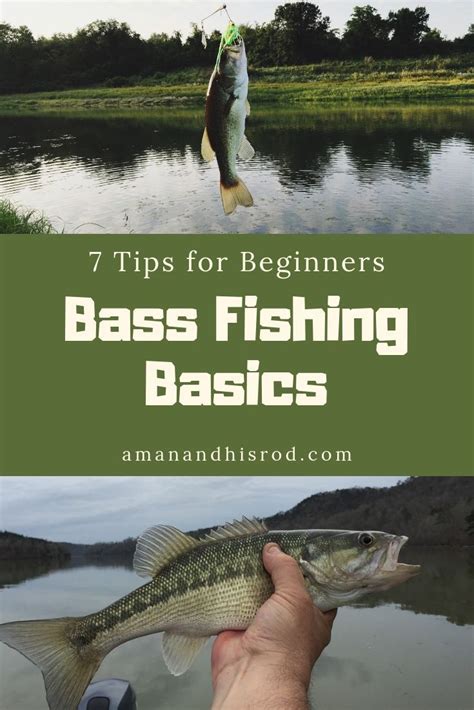 Bass Fishing Basics offers 7 great #fishing #tips for #beginners. This ...