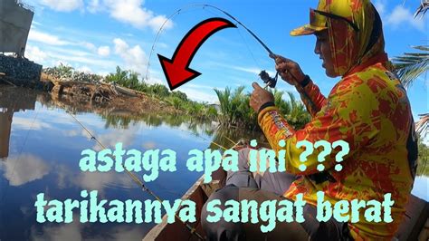 Mancing Udang Galah Di Sungai Pedalaman Kalimantan Dapat Tarikan Yang