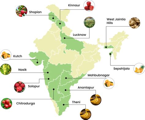 National Horticulture Board About CDP