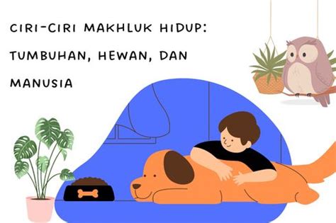 Berita Harian Ciri Ciri Manusia Hewan Dan Tumbuhan Sebagai Makhluk