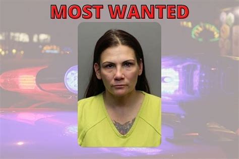 Lynn Marie Lay Is Larimer Countys Most Wanted Fugitive