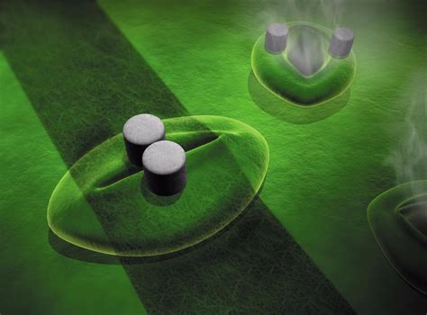 leaf zapping sensors   plants  water