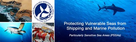 Imo And Its Role In Protecting The Worlds Oceans