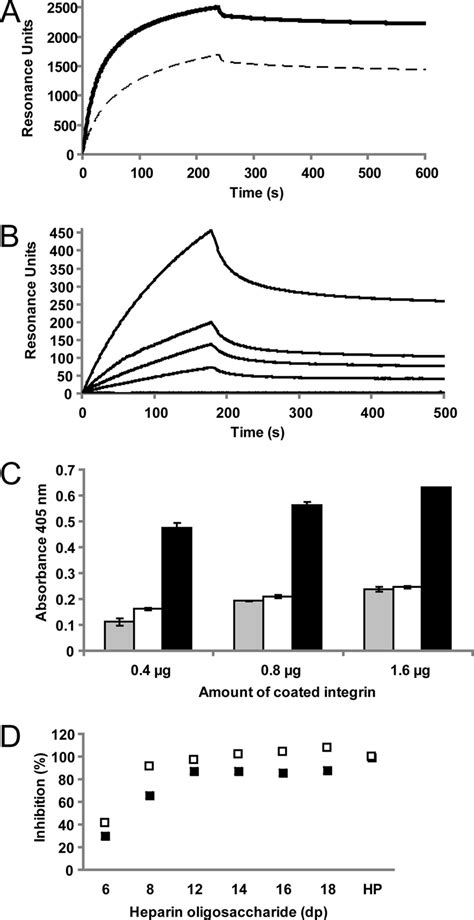 A Spr Binding Assays Shown Is The Injection Of Full Length 51