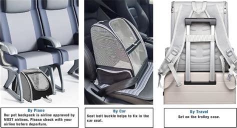 Texsens Innovative Traveler Bubble Backpack Pet Carriers For Cats And