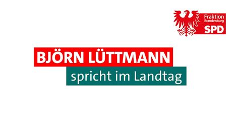 Rede Zur Aktuellen Stunde Der AfD Masseneinwanderung Nach Brandenburg