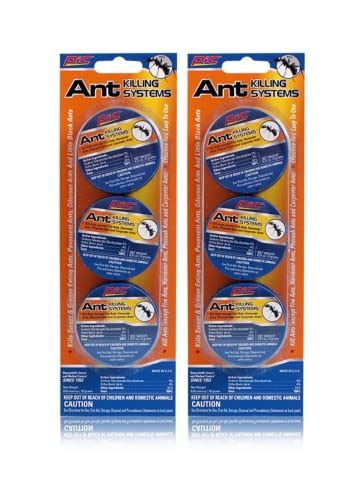 Top 10 Best Ant Traps For Indoors Reviews And Buying Guide Katynel