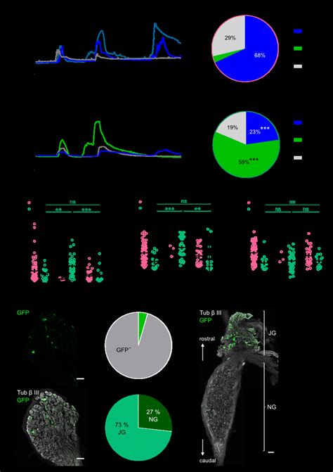 Different Response Profile To Trp Agonists In Cold Sensitive Cs