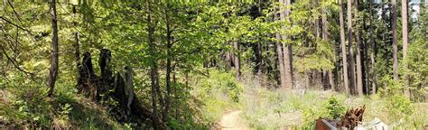 Fleming Meadow Loop California 430 Reviews Map Alltrails